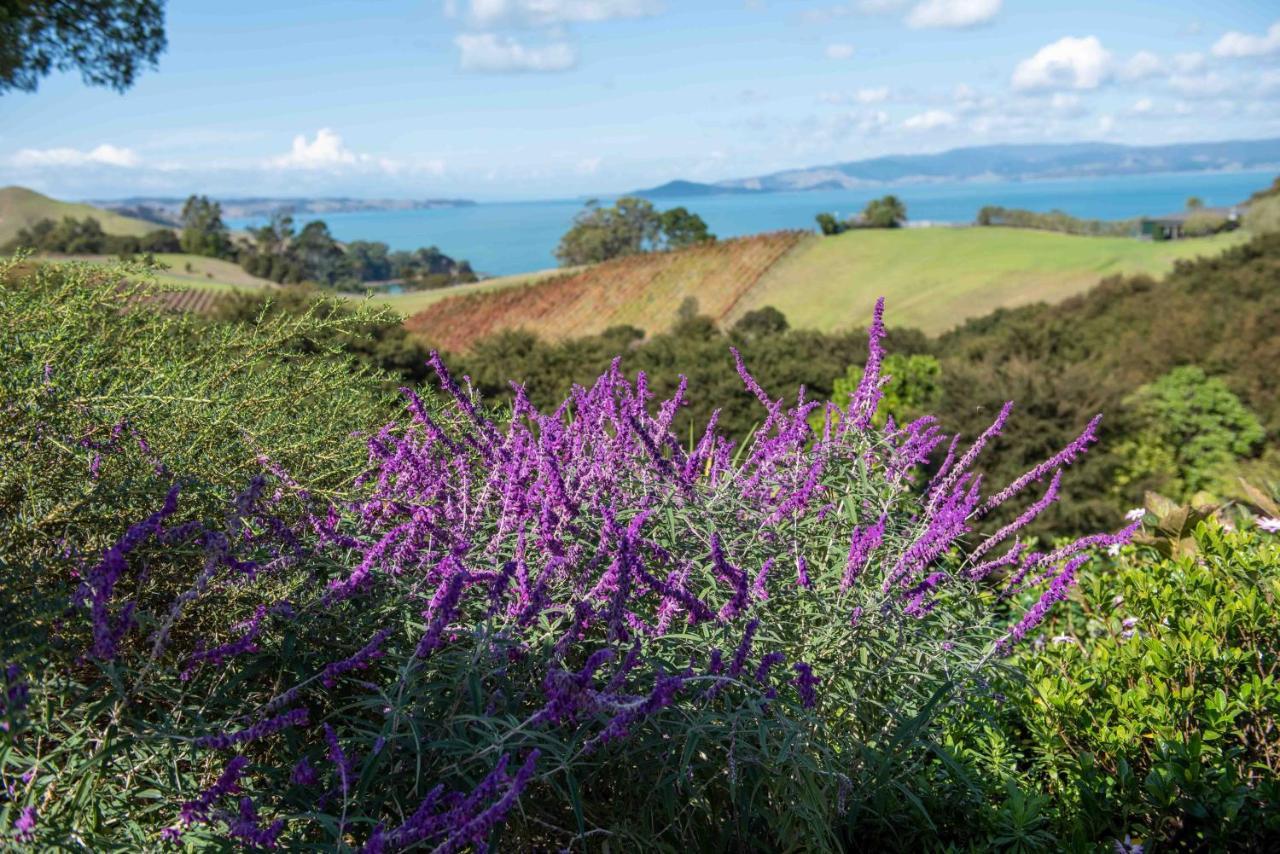 Waiheke Luxury Blue And Green Rooms Ostend Exterior photo